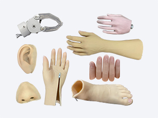 Membre proth&eacute;tique